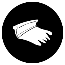 bw-icon1
